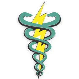 FISIOTERAPIA ⚡️