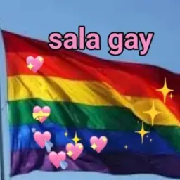 🏳️‍🌈SALA❤️GAY🩷🏳️‍🌈⚜️