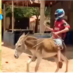 VAMOS SORRIR 🤣😎😹