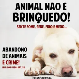 Amigos dos Animais 🐶🐱