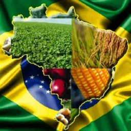 Produtos do agro🌽☕👩🏻‍🌾👨🏻‍🌾🍃