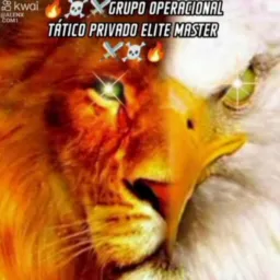 🔥☠️⚔️ GRUPO FREELANCE E CLT COORDENADORIA OPERACIONAL TÁTICO PRIVADO GRANDES EVENTOS ⚔️☠️🔥