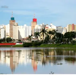 Classificados São José do Rio preto
