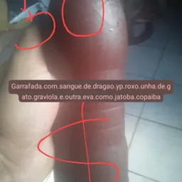 Olx.dezspego