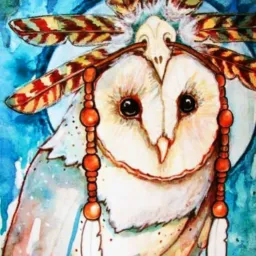 Voo beija-flor e Templo🙏🏻🦉