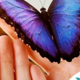 Transforme sua dor em alegria