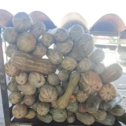 Distribuição de legumes JD inteligente igreja pentecostal Deus e nosso refúgio .