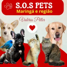 🚨SOS🐕ANIMAIS
