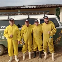Amigos 🐝Sítio Apiários 🐝