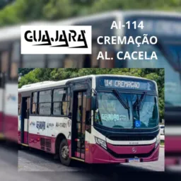 UFPA Cremação Alcindo Cacela 114🚌