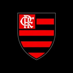 TORCENDO DO FLAMENGO ❤️🖤MEGÃO NAS VEIAS