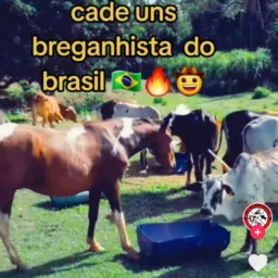 Grupo do ta feito 🤝🐎🐄🐖🐏🐓🦃🦜