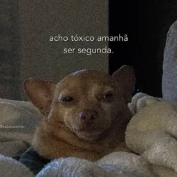 Trocas e vendas