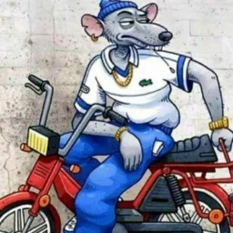 Rolo carro ou moto