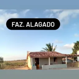 FAZENDA ALAGADO 🐂🐎🙏