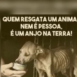Defesa e preservação dos animais bz!🐾🐶🐱
