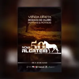 EXCLUSIVIDADES VENDA DIRETA ALCATEIA
