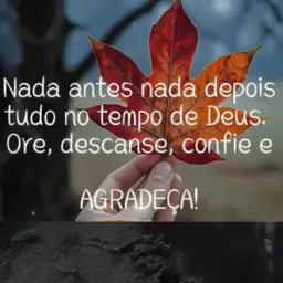 Vende-se setor Jardim olímpico