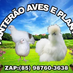 Vendas/Produtos/Serviços