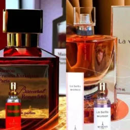 Cadastro Perfumes de Grifes Moments Paris/Like Brasil