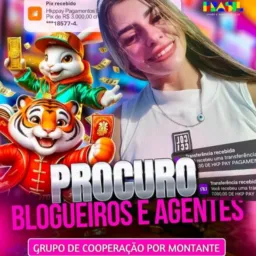 Grupo de cooperação 🎯