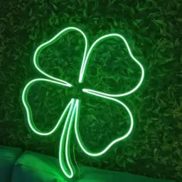 RIFA 5 PRA 100☘️