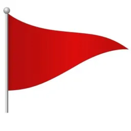 🚩DEPOIS DE CASTRO ALVES🚩