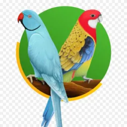 🦜AVES EXÓTICAS & CIA 🦜