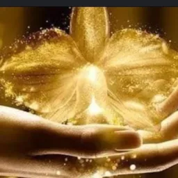 ✨MAGIA & LUZ UNIVERSAL✨