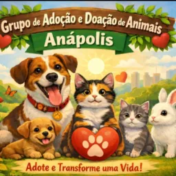 Anápolis, adoção de animais 🐱🐶🐰🐀🐟