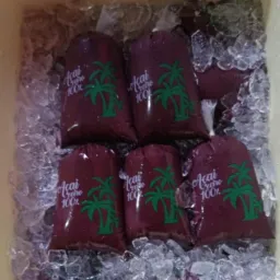 Marcelo açaizeiro top😋