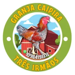SINTETICO 3A GRANJA 3 IRMÃOS