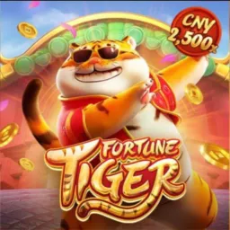EQUIPE VIVI SLOTS🎰🍀🐯