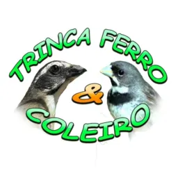 Coleiro/Trinca/Rolos🤑🐦🦜