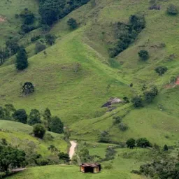 Só Terrenos, Casas e Apartamentos 🏡