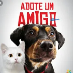 Adote um amigo🐱🐕Guarantã!