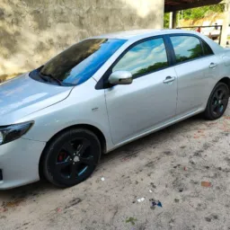 Compra e venda Tocantins 💯