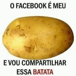 Amizade verdadeira