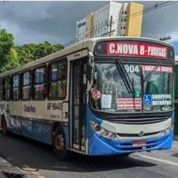 OLX STELIO MAROJA FRONTEIRAS CID NOVA 8 ANANINDEUA