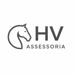 HV ASSESSORIA G1