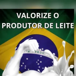 Compra e venda nelore 1