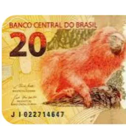 Grupo de 20 reais