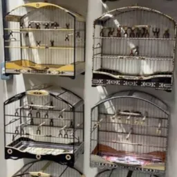 🐦‍⬛Só gaiolas Paraíba 🐦‍⬛