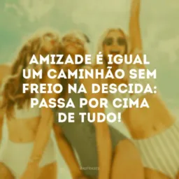 Novas amizades 2024