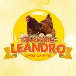 Criatório Leandro 1°