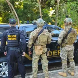 Grupo de notícias Rondônia alvivo