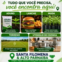 Adubos,
Lanches, Mudas, Terreno,
Utensílios de Cozinha SF & AP