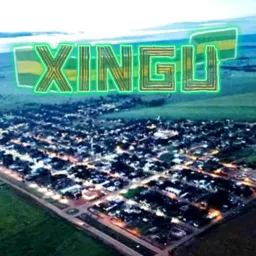 XINGU-MT🌳🐆