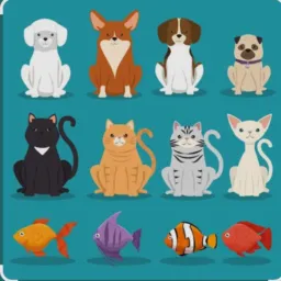 PIRA PETS & ANIMAIS