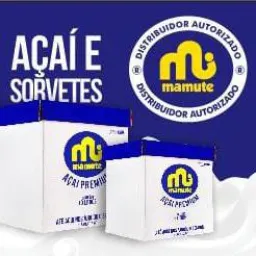 Loja de Fábrica Açaí